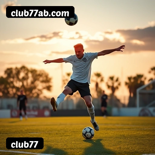 Níveis do programa VIP da club77